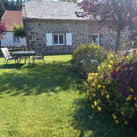 Ferme De Lamourio Saint-Cernin  Bagian luar foto