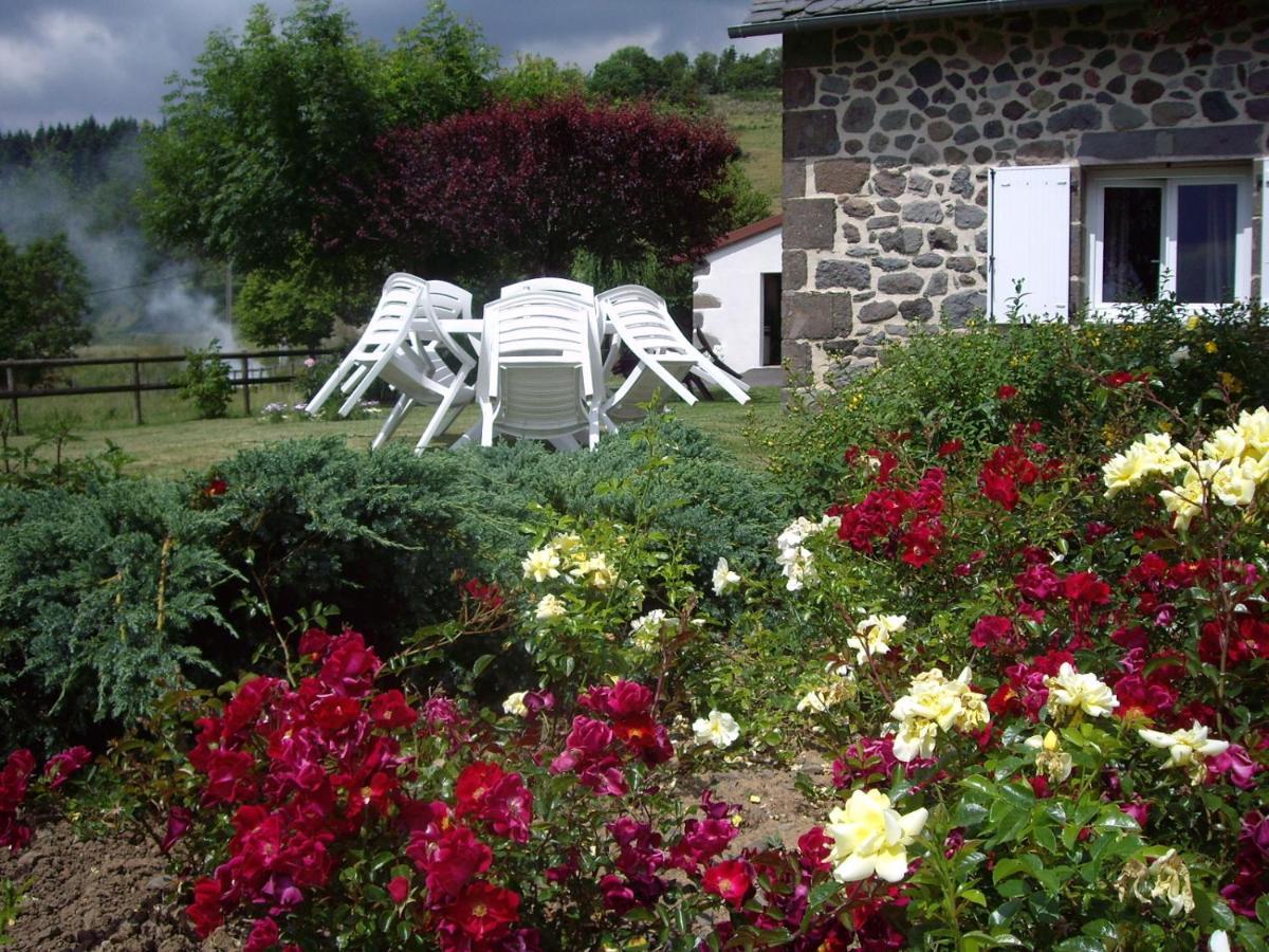 Ferme De Lamourio Saint-Cernin  Bagian luar foto